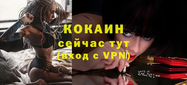 сатива Каменск-Шахтинский