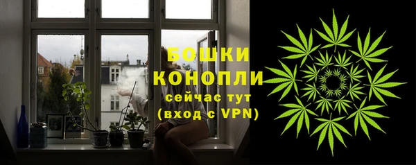 сатива Каменск-Шахтинский