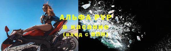 сатива Каменск-Шахтинский