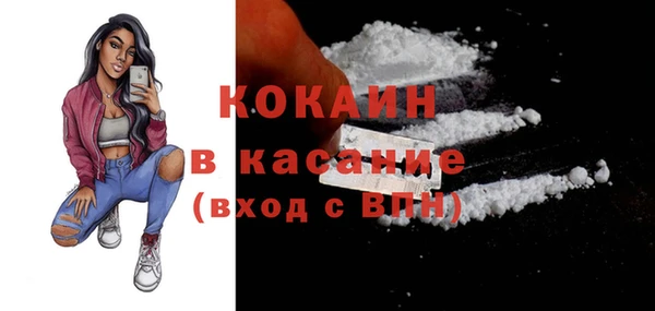 сатива Каменск-Шахтинский