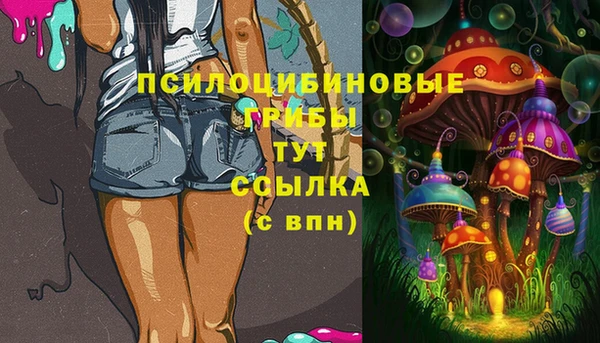 экстази Каменногорск